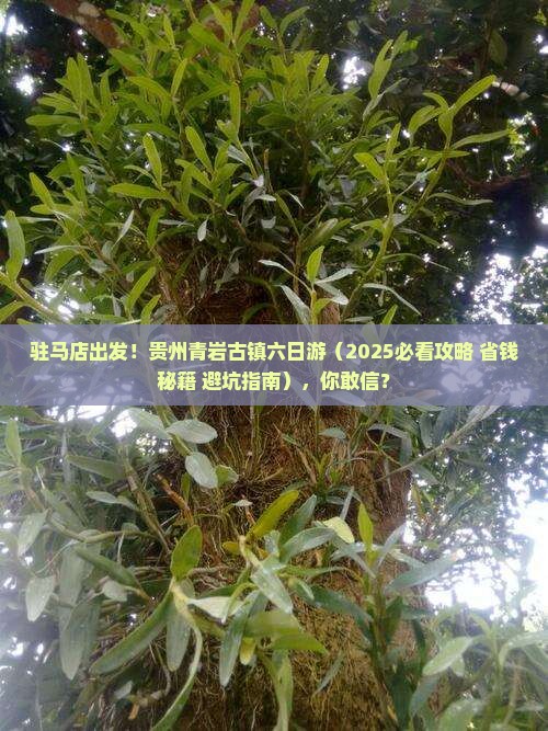 驻马店去贵州青岩古镇六日游