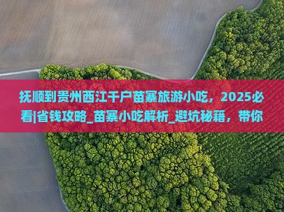 抚顺到贵州西江千户苗寨旅游小吃