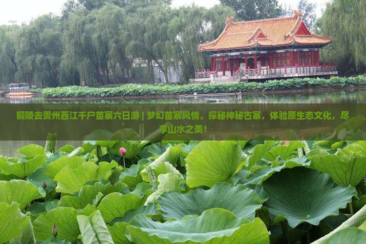 铜陵去贵州西江千户苗寨六日游