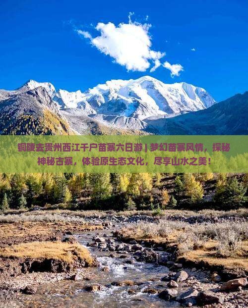铜陵去贵州西江千户苗寨六日游
