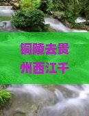 铜陵去贵州西江千户苗寨六日游