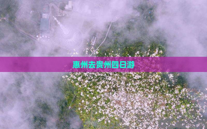 惠州去贵州四日游