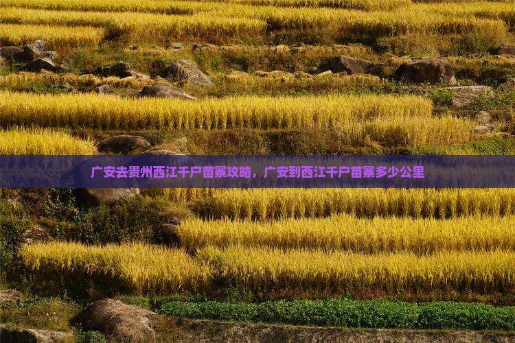 广安去贵州西江千户苗寨攻略