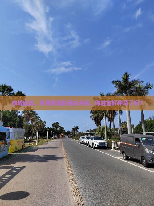 赤峰到贵州贵阳旅游小吃