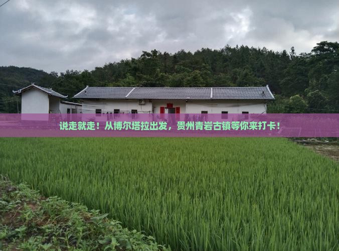 博尔塔拉到贵州青岩古镇旅行社