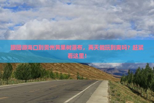 海口到贵州黄果树瀑布二日游
