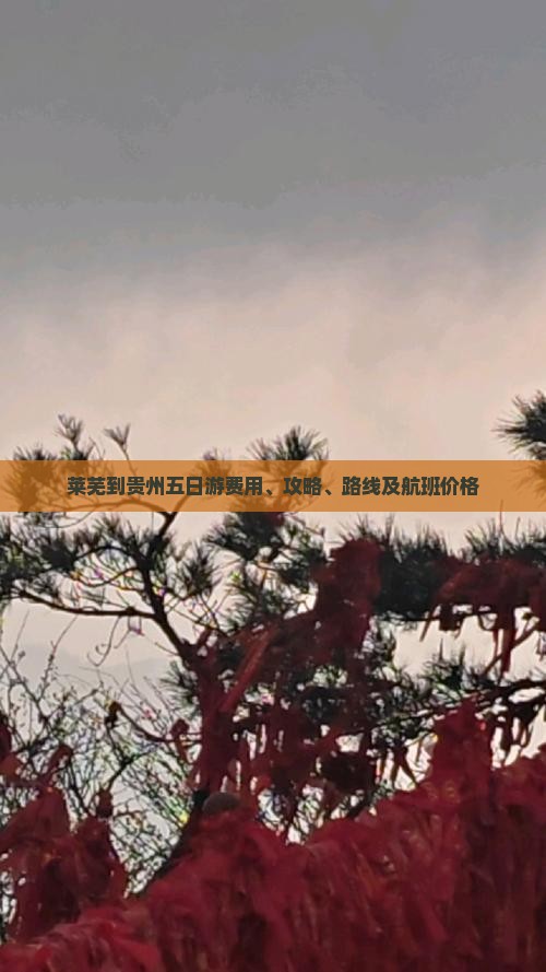莱芜到贵州五日游