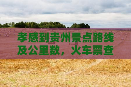 孝感到贵州景点 孝感到贵州景点