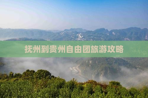 抚州到贵州自由团