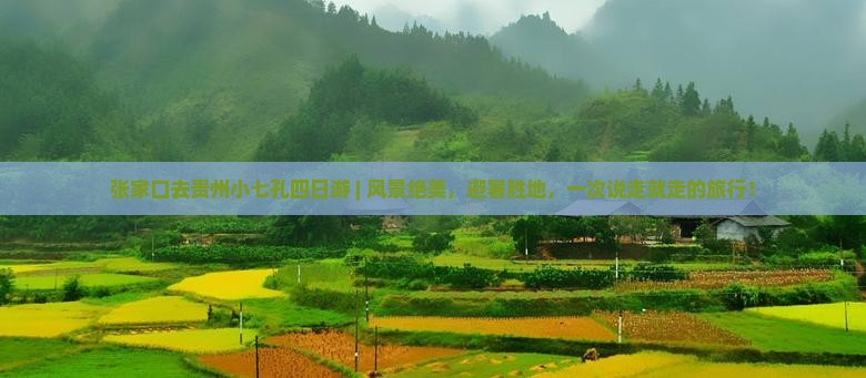 张家口去贵州小七孔四日游