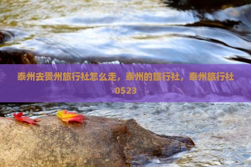 泰州去贵州旅行社