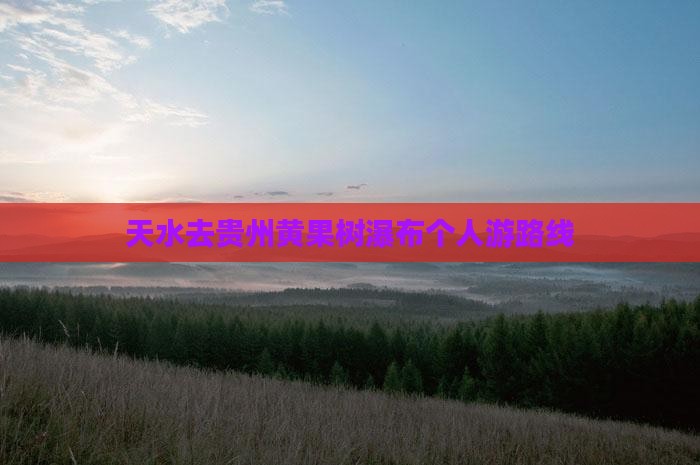 天水去贵州黄果树瀑布个人游