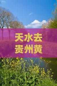 天水去贵州黄果树瀑布个人游