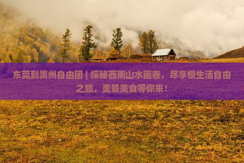 东莞到贵州自由团