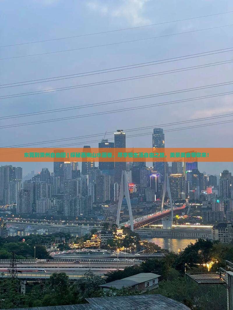 东莞到贵州自由团