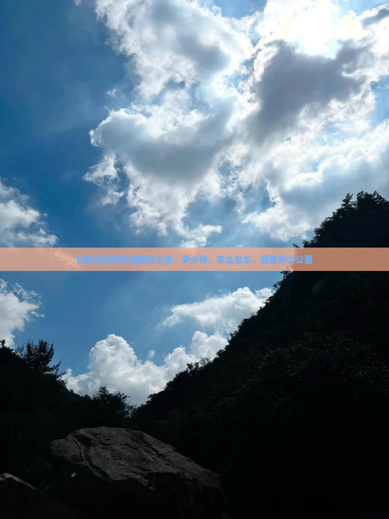 白城去贵州自由团