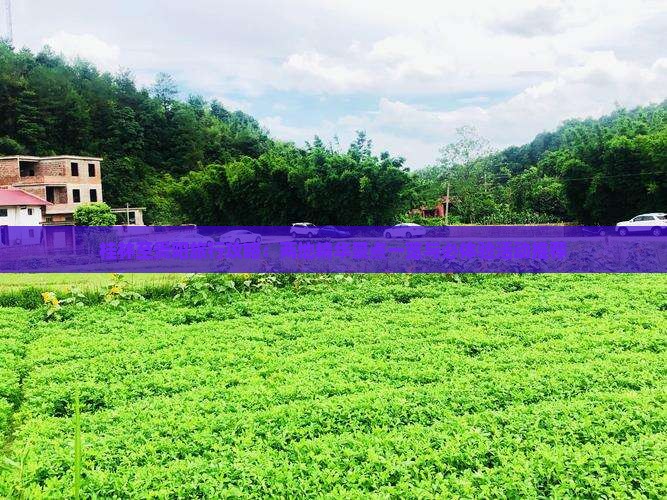 桂林至贵阳旅行攻略：两地精华景点一览与必体验活动推荐
