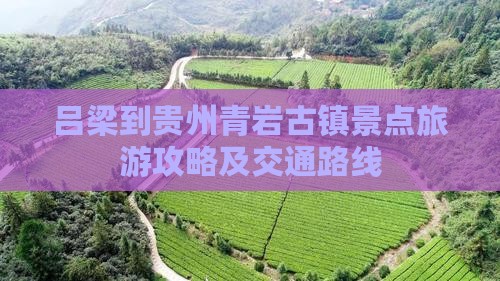 吕梁到贵州青岩古镇景点旅游攻略及交通路线 吕梁到贵州青岩古镇景点旅游攻略及交通路线