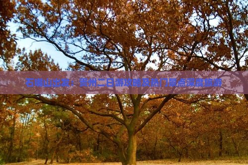 石嘴山出发:贵州二日游攻略及热门景点深度旅游 石嘴山出发:贵州二日游攻略及热门景点深度旅游