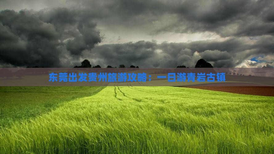 东莞出发贵州旅游攻略：一日游青岩古镇