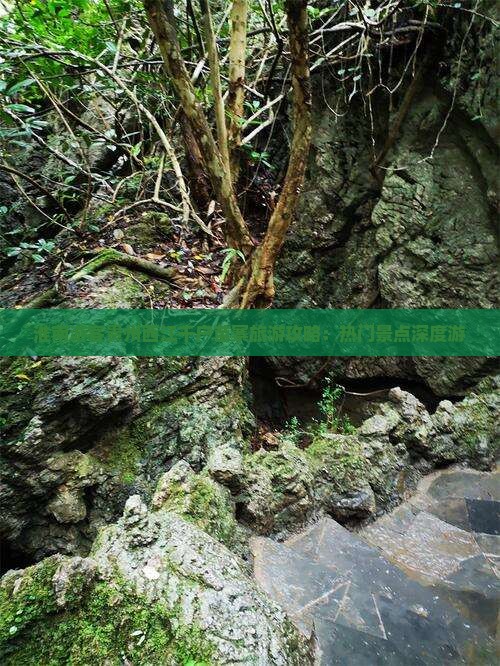 淮南游客贵州西江千户苗寨旅游攻略：热门景点深度游