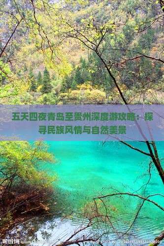 五天四夜青岛至贵州深度游攻略：探寻民族风情与自然美景