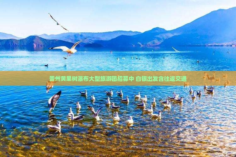 贵州黄果树瀑布大型旅游团招募中 白银出发含往返交通