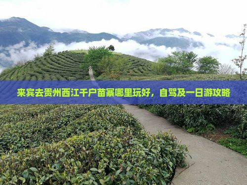 来宾去贵州西江千户苗寨哪里玩好，自驾及一日游攻略
