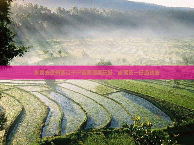 来宾去贵州西江千户苗寨哪里玩好，自驾及一日游攻略