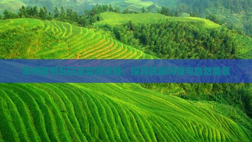 贵州春节五日深度游攻略：探寻民族风情与自然美景