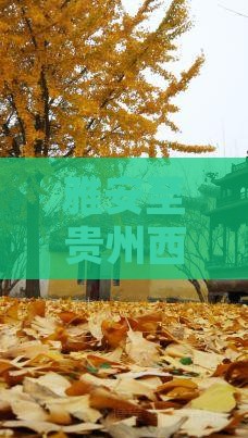 雅安至贵州西江千户苗寨交通及门票价格一览