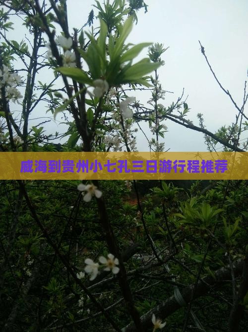 威海到贵州小七孔三日游行程推荐