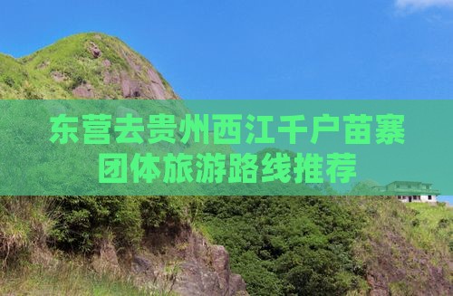 东营去贵州西江千户苗寨团体旅游路线推荐