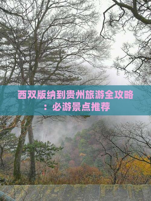 西双版纳到贵州旅游全攻略：必游景点推荐