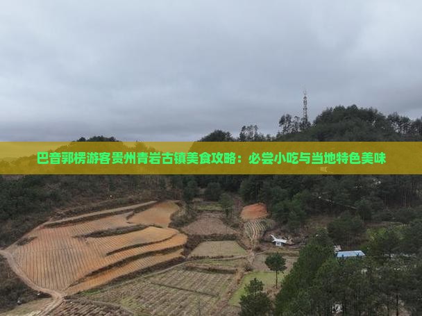巴音郭楞游客贵州青岩古镇美食攻略：必尝小吃与当地特色美味