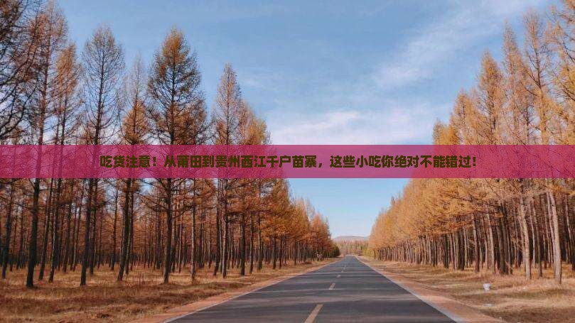 莆田到贵州西江千户苗寨旅游小吃