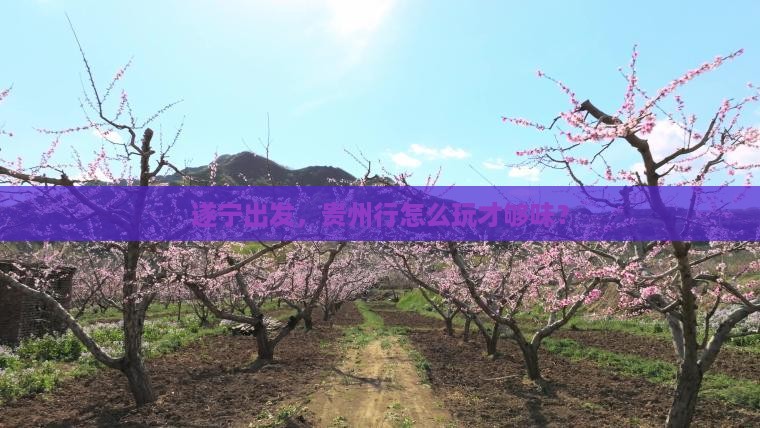 遂宁去贵州攻略