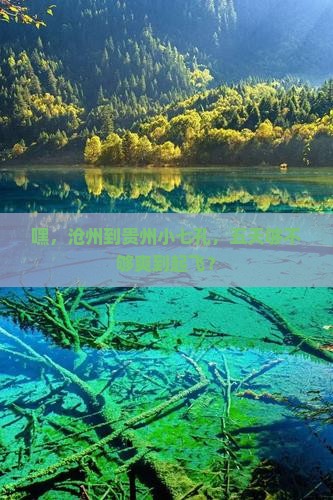 沧州到贵州小七孔五日游