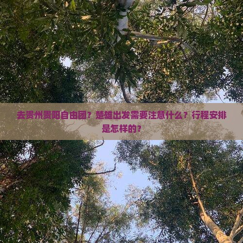 楚雄去贵州贵阳自由团