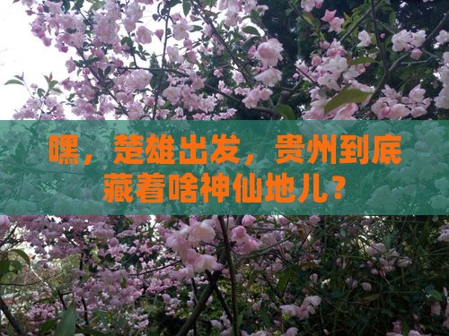 楚雄到贵州必去地