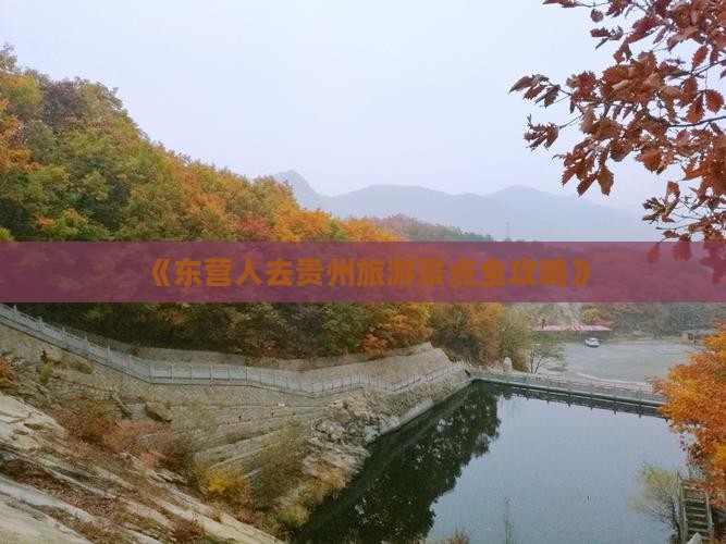 东营去贵州哪里玩