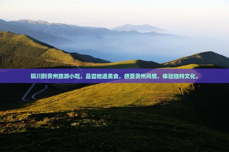 铜川到贵州旅游小吃
