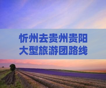 忻州去贵州贵阳大型旅游团