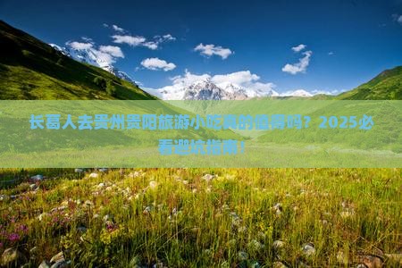 长葛去贵州贵阳旅游小吃