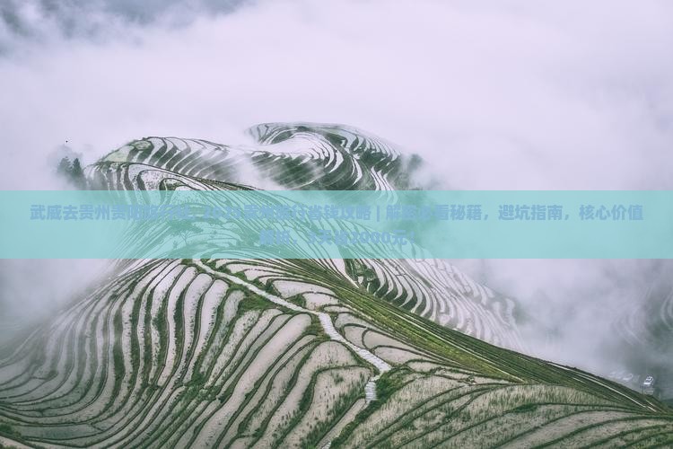 武威去贵州贵阳旅行社