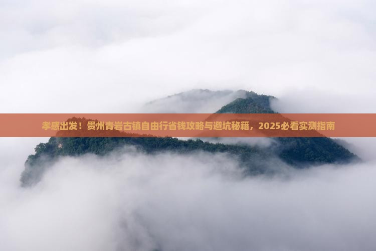 孝感到贵州青岩古镇自由团