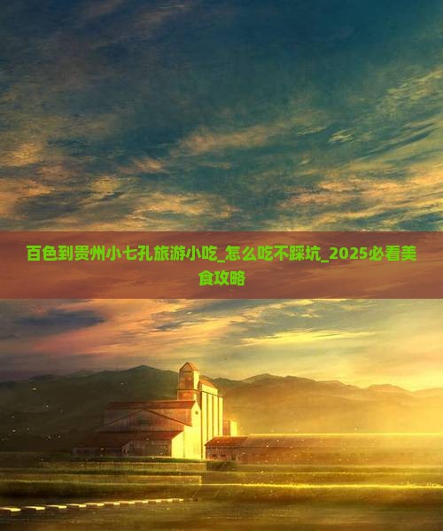 百色到贵州小七孔旅游小吃