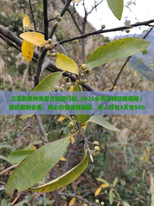 三亚到贵州青岩古镇旅行社