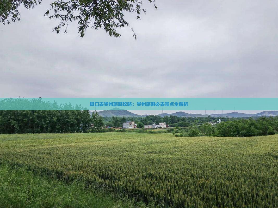 周口去贵州旅游 周口去贵州旅游