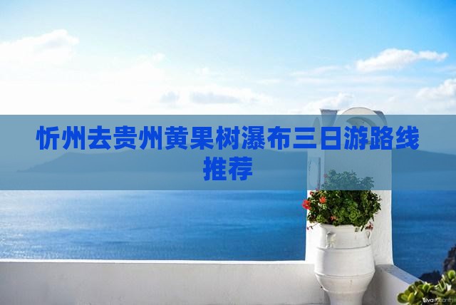 忻州去贵州黄果树瀑布三日游